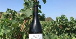 smith devereux wines