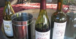 tulocay winery