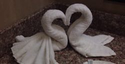hampton inn & suites san francisco-burlingame-airport south